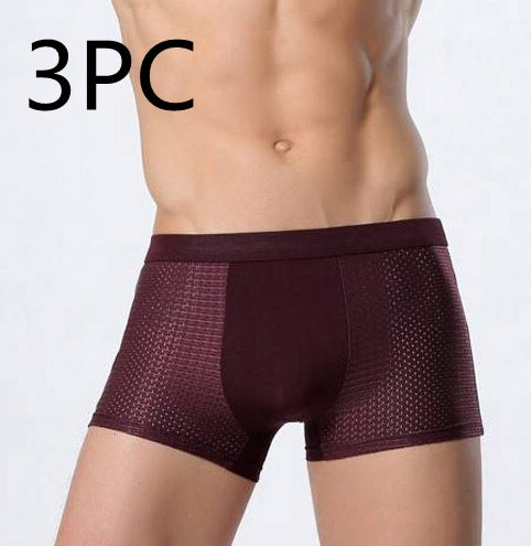 Karl – Breathable Mesh Boxer Shorts