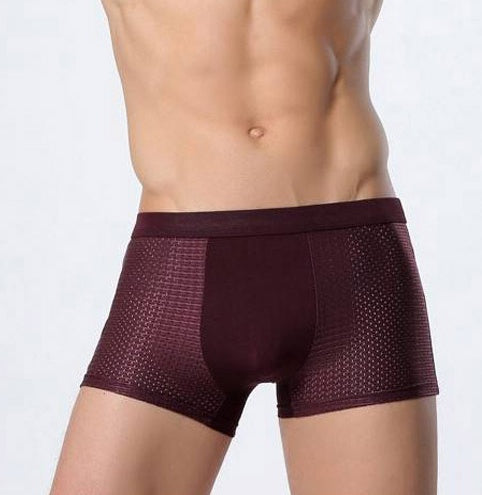 Karl – Breathable Mesh Boxer Shorts